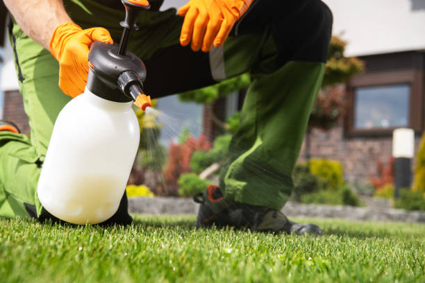 Best Pest Removal Services  in Tornillo, TX