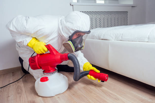 Best Wildlife Control Services  in Tornillo, TX