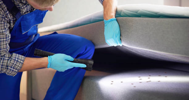 Best Best Pest Control Companies  in Tornillo, TX