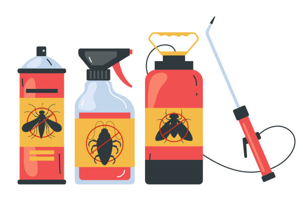 Trusted Tornillo, TX Pest Control Experts