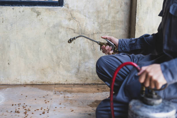 Best Pest Control for Homes  in Tornillo, TX